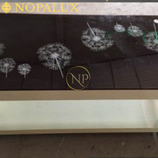 Bàn sofa NP09